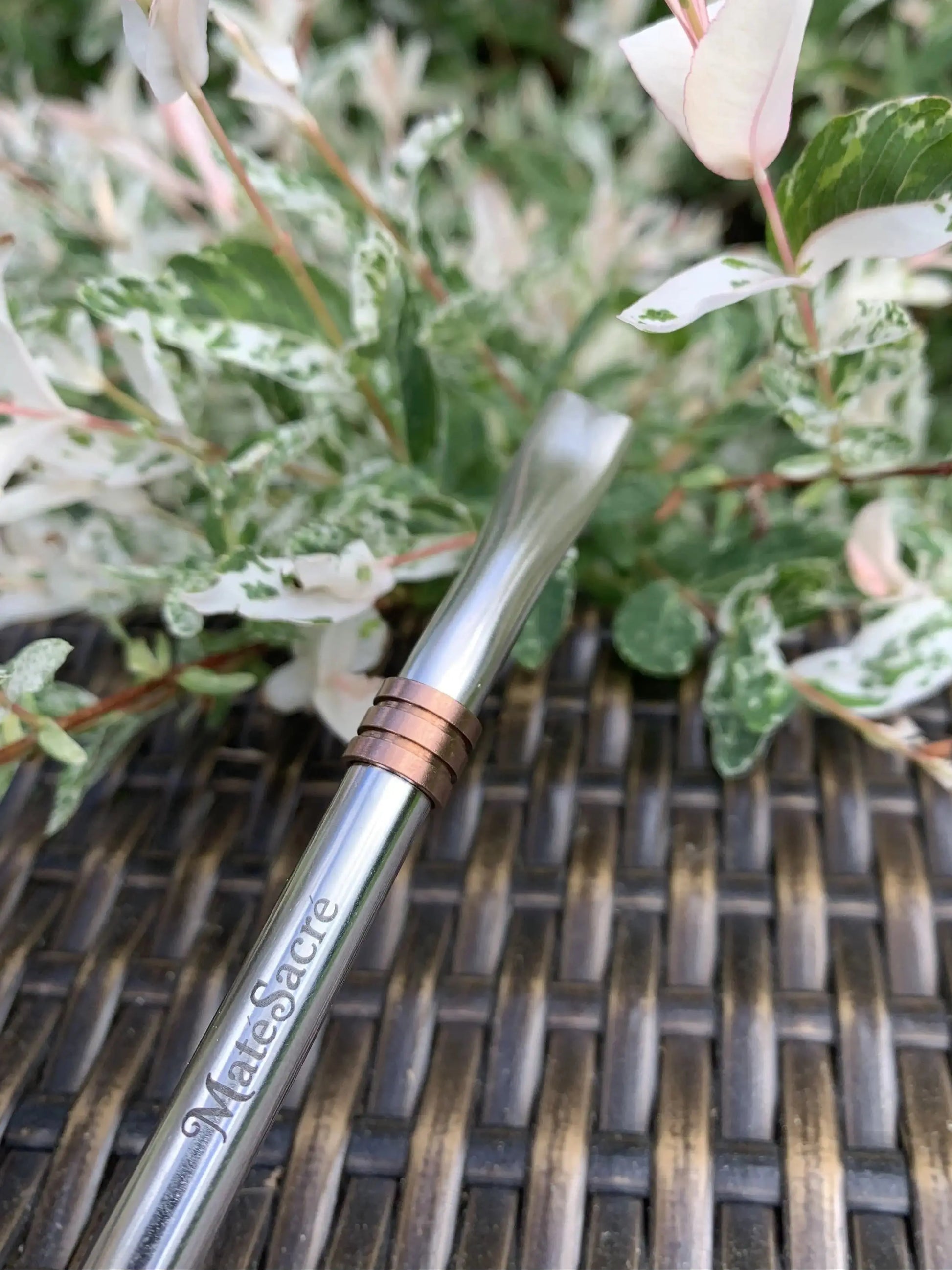 Bombilla Classique - Paille Maté Ma boutique